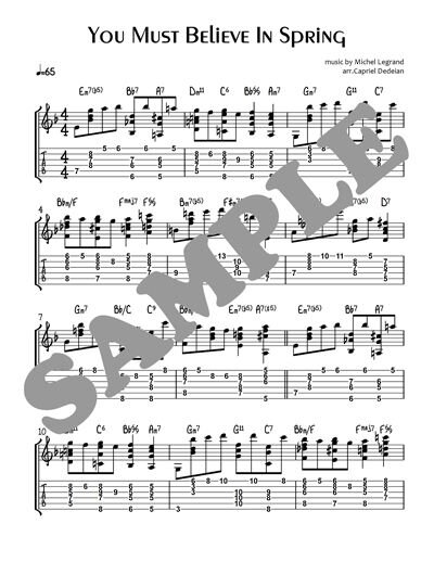 You Must Believe In Spring